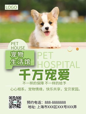 寵物服務中的問診體系 全面呵護寵物健康