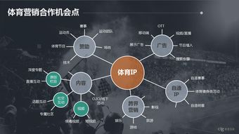 數(shù)據(jù)行業(yè) 互聯(lián)網(wǎng)數(shù)據(jù)中心（IDC）與199it互聯(lián)網(wǎng)數(shù)據(jù)服務的深度解析